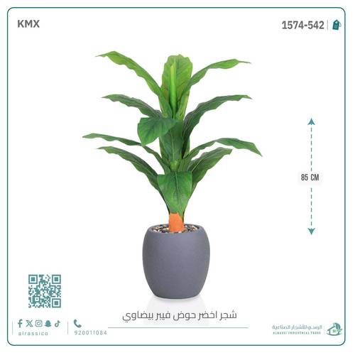 شجرة ورق موز حوض فيبر بيضوي