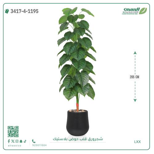 شجر ورق قلب صناعية ( ارتفاع 205 سم ) حوض بلاستيك