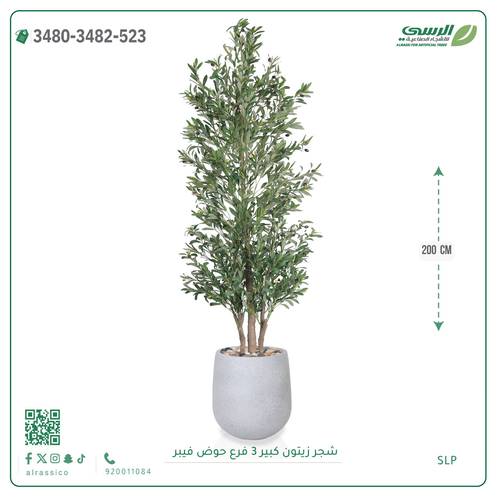 شجرة زيتون صناعية ( ارتفاع 200 سم ) حوض فيبر