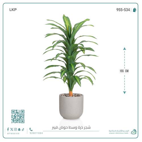  شجرة نبات الذرة (دراسينا) الاصطناعية كبيرة بمركن فيبر  أسطواني 