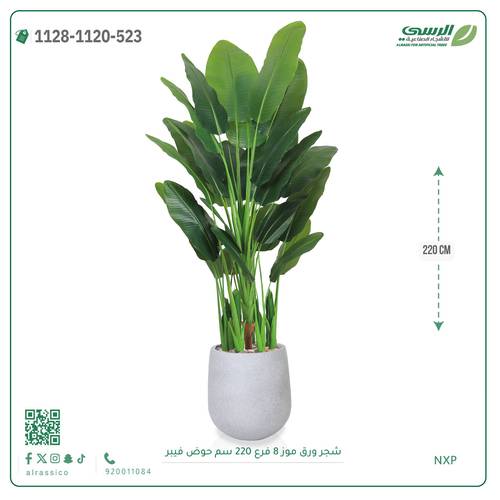 شجرة ورق موز صناعية (ارتفاع 220 سم) حوض فيبر