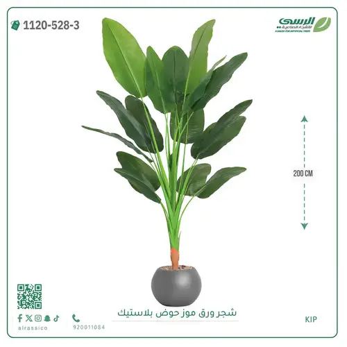 شجرة موز صناعية ( ارتفاع 200 سم ) حوض بلاستيك