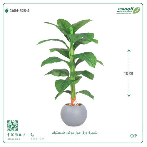 شجرة ورق موز متوسطة بمركن بلاستيك دائرى 