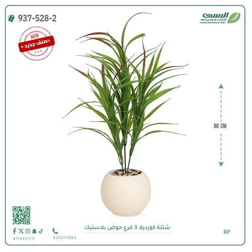 شجر كورديلا صناعية ( ارتفاع 80 سم ) حوض بلاستك