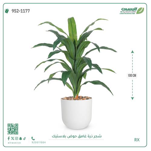  شجرة ذرة غامق بمركن بلاستيك أسطواني