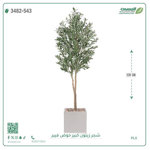 شجرة زيتون صناعية ( ارتفاع 220 سم ) حوض فيبر