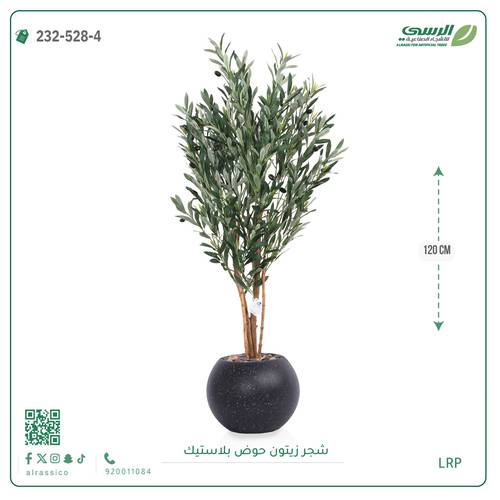 شجرة زيتون اصطناعية (4 فروع) بمركن بلاستيك دائرى 