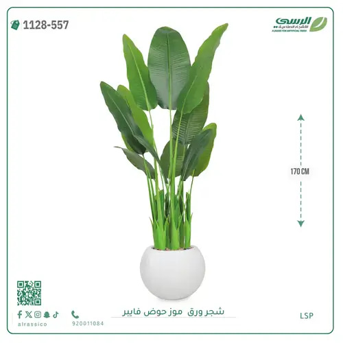 شجر موز صناعية ( ارتفاع 170 سم ) حوض فيبر