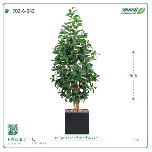 شجر ليمون صناعية ( ارتفاع 160 سم ) حوض فيبر