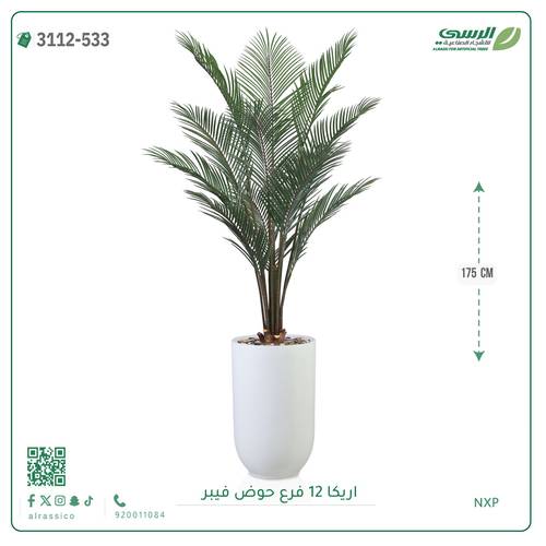 شجر أريكا صناعية ( ارتفاع 175 سم ) حوض فيبر