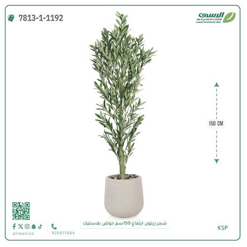 شجرة زيتون صناعية ( ارتفاع 150 سم ) حوض بلاستيك