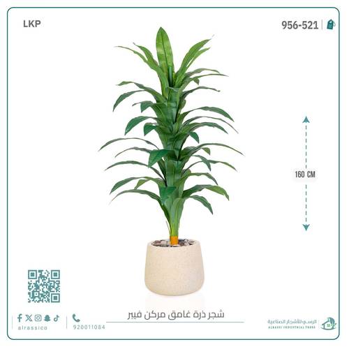 شجرة نبات الذرة (دراسينا) الاصطناعية بمركن فيبر بيضاوى