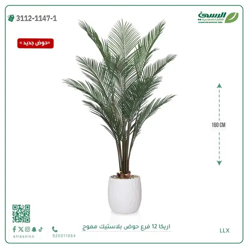شجرة اريكا صناعية ( ارتفاع 160 سم ) حوض بلاستيك مموج