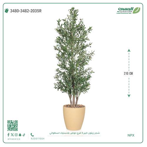 شجرة زيتون صناعية ( ارتفاع 210 سم ) حوض بلاستيك اسطواني