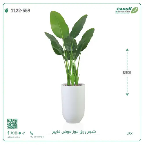 شجرة موز صناعية ( ارتفاع 170 سم ) حوض فيبر
