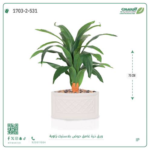  شجرة ورق ذرة فاتح بمركن بلاستيك زاوية 