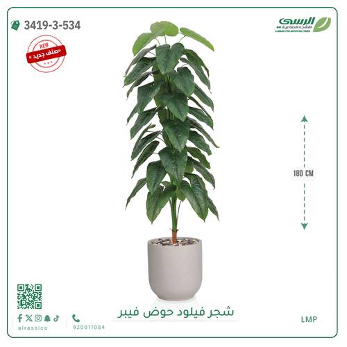 شجرة فيلود صناعية ( ارتفاع 180 سم ) حوض فيبر