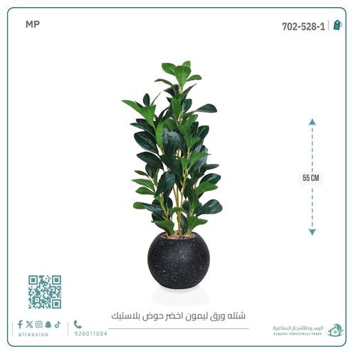  شتلة ورق ليمون اصطناعية بمركن بلاستيك دائري