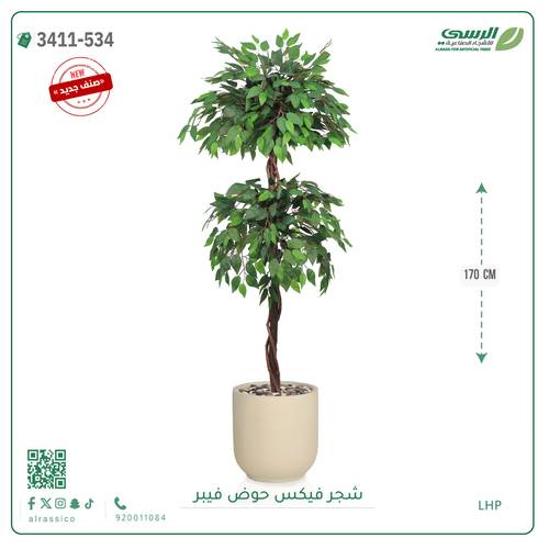 شجر فيكس صناعية ( ارتفاع 170 سم ) حوض فيبر