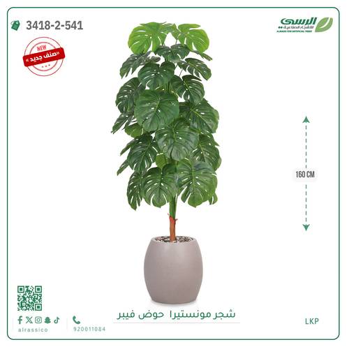 شجرة ورق قلب صناعية ( ارتفاع 160 سم ) حوض فيبر