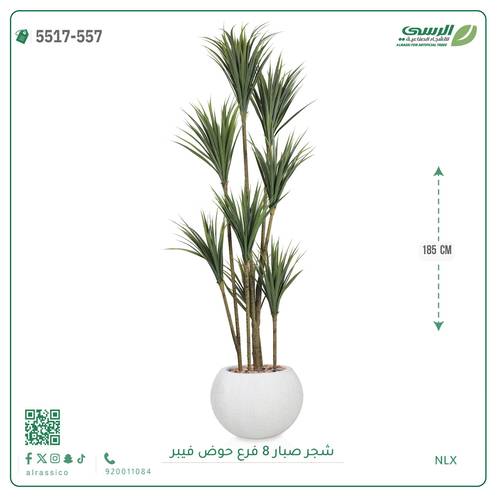 شجرة صبار صناعية ( ارتفاع 185 سم ) حوض فيبر مقلم