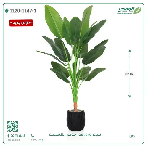 شجرة موز صناعية ( ارتفاع 205 سم ) حوض بلاستيك