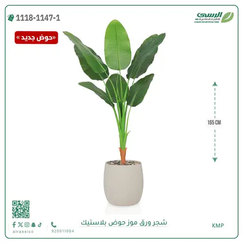 شجرة موز صناعية ( ارتفاع 165 سم ) حوض بلاستيك