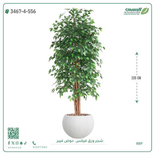 شجرة فيكس اصطناعية ( ارتفاع 220 سم ) حوض فايبر