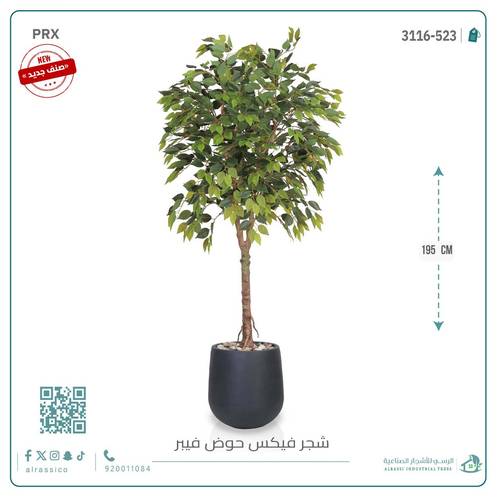 شجرة فيكس صناعيبارتفاع (195) بمركن فيبر