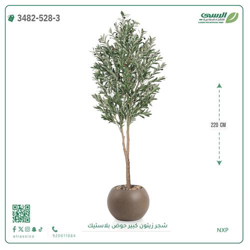 شجرة زيتون صناعية ( ارتفاع 220 سم ) حوض بلاستك