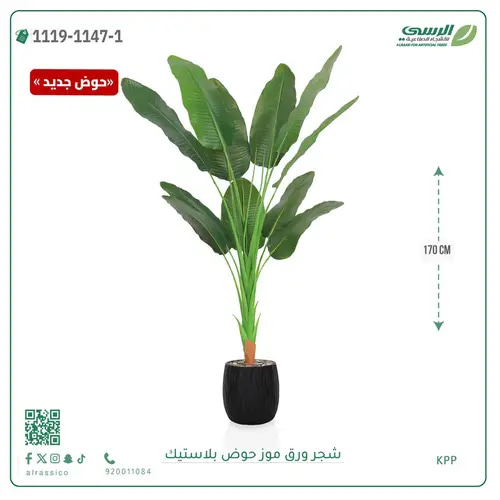 شجرة موز صناعية ( ارتفاع 170 سم ) حوض بلاستيك