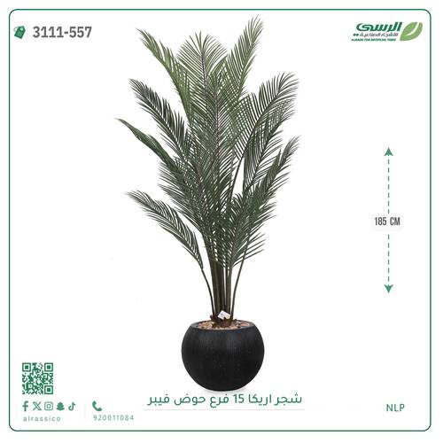 شجرة أريكا صناعية ( ارتفاع 185 سم ) حوض فيبر