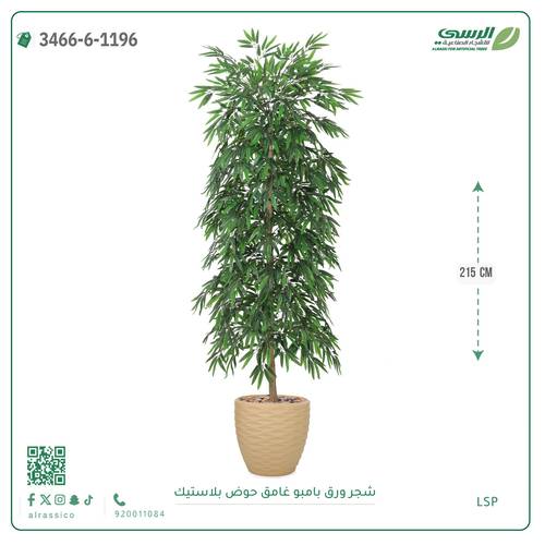 شجرة بامبو صناعية ( ارتفاع 215 سم ) حوض بلاستك
