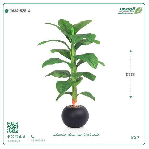 شجرة ورق موز متوسطة بمركن بلاستيك دائرى 
