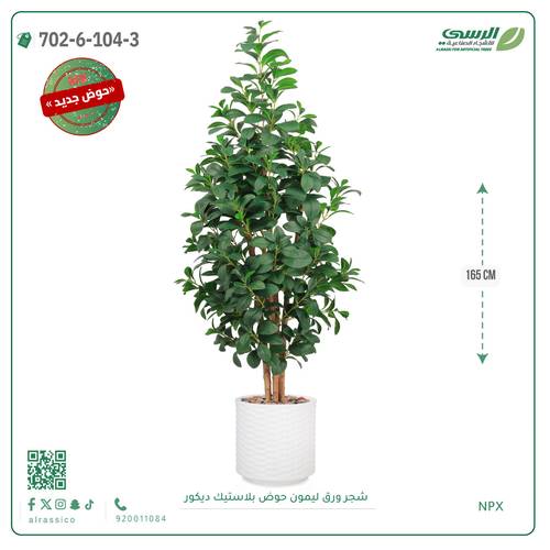 شجرة ورق ليمون صناعية ( ارتفاع 165 سم ) حوض بلاستك