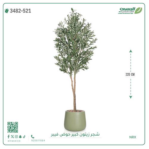 شجرة زيتون صناعية ( ارتفاع 220 سم ) حوض فيبر