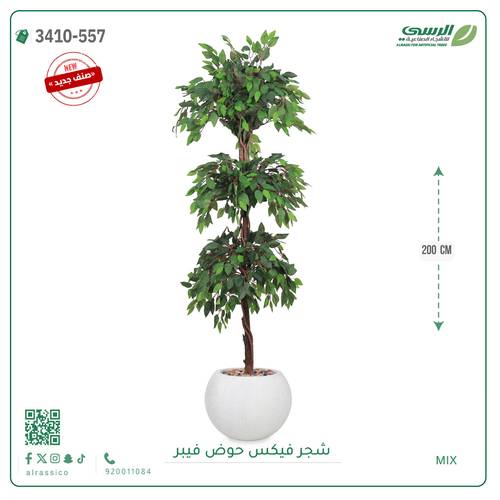 شجر فيكس صناعية ( ارتفاع 200 سم ) حوض فيبر