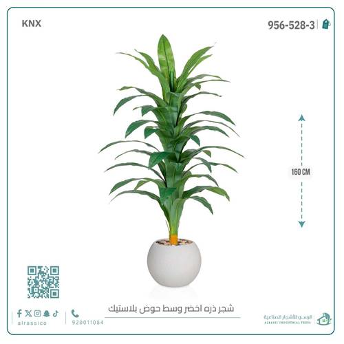 شجرة نبات الذرة (دراسينا) الاصطناعية بمركن بلاستيك دائرى