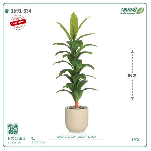 شجرة ورق أخضر وسط بمركن فيبر اسطوانى 