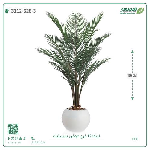شجر أريكا صناعية ( ارتفاع 155 سم ) حوض بلاستيك