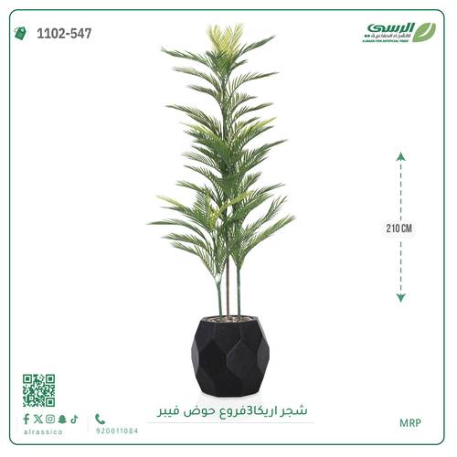 شجرة أريكا اصطناعية (3 فرع) بمركن فيبر