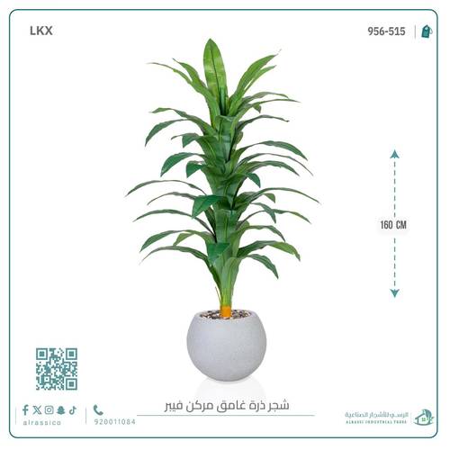 شجرة نبات الذرة (دراسينا) الاصطناعية بمركن فيبر 