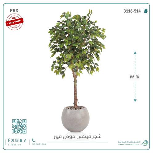 شجرة فيكس صناعية بحوض فيبر