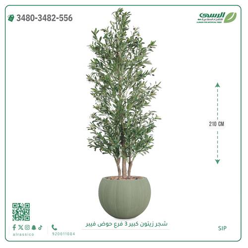 شجرة زيتون صناعية (ارتفاع 210 سم) حوض فيبر