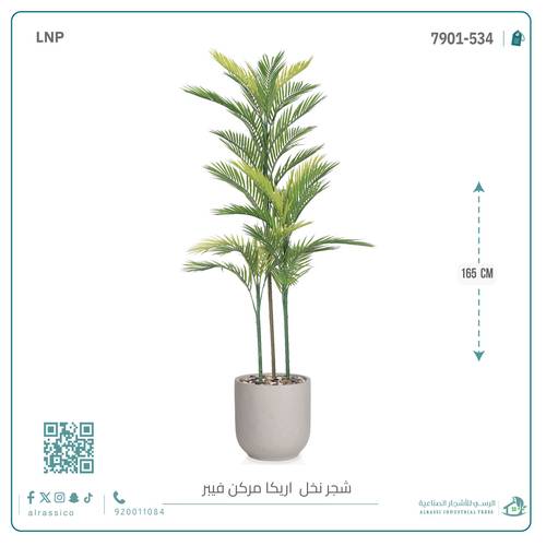 نخل أريكا اصطناعية (3 فرع) بمركن فيبر  أسطواني