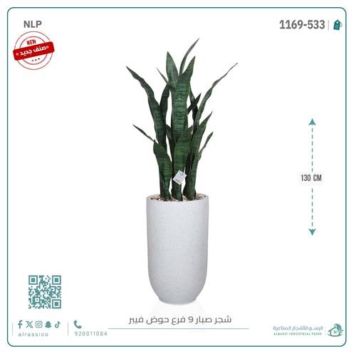 صبار جلد النمر الأخضر بحوض فيبر