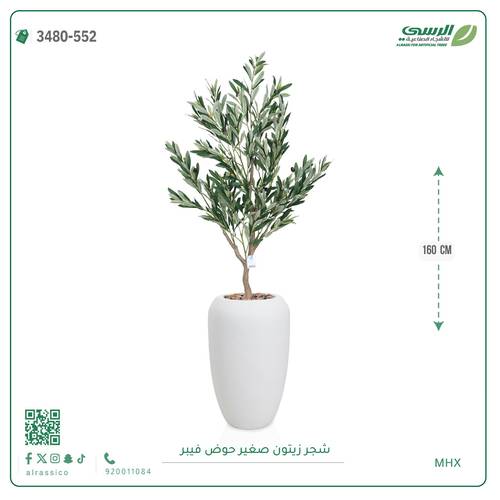  شجرة زيتون اصطناعية صغيرة بمركن فيبر اسطوانى 