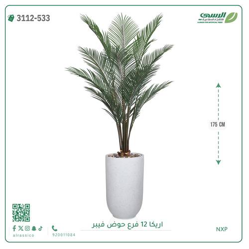 شجر أريكا صناعية ( ارتفاع 175 سم ) حوض فيبر