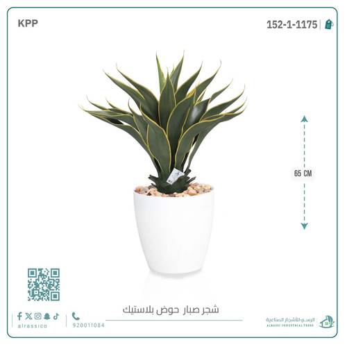 صبار ذيل الثعلب الصناعي بمركن بلاستيك اسطوانى 