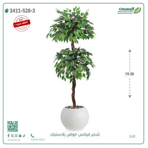 شجر فيكس صناعية ( ارتفاع 170 سم ) حوض بلاستيك